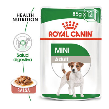 Royal Canin Mini Adult saqueta em molho para cães - Pack 12